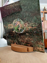 Load image into Gallery viewer, Cork Rekkid Stand