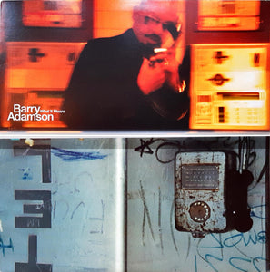 Barry Adamson – What It Means - VG+