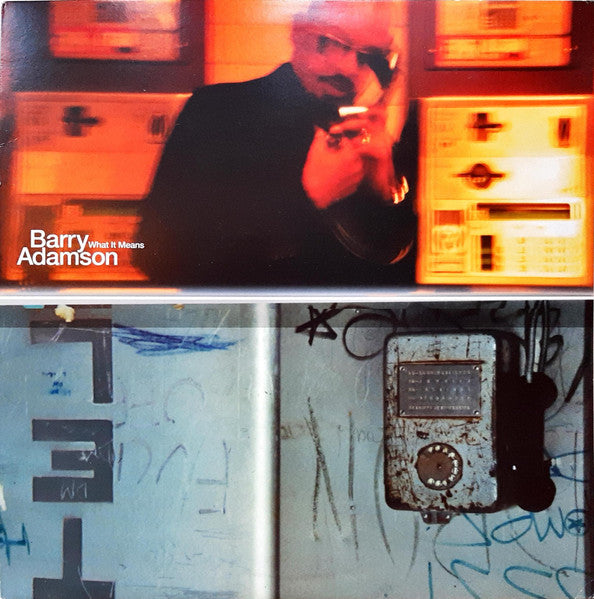 Barry Adamson – What It Means - VG+